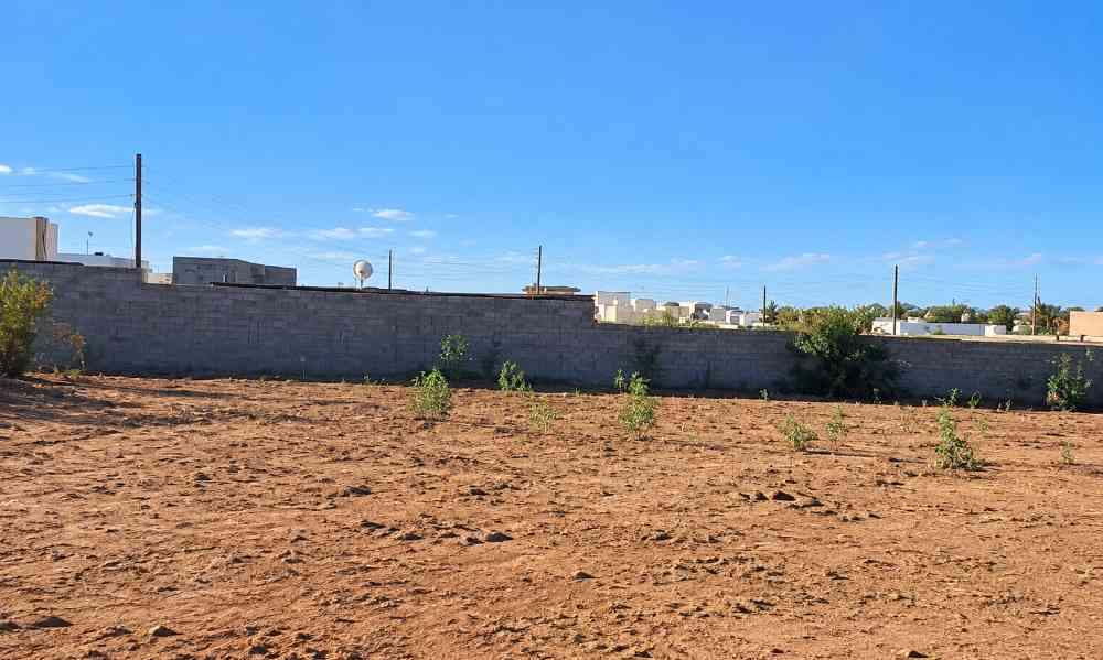 Land for sale in Tripoli